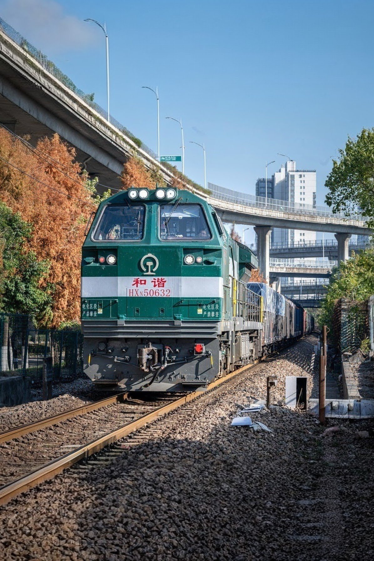 Trasporto Ferroviario